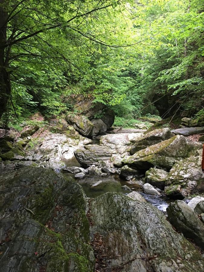 Ferienwohnung Raabklamm Arzberg Экстерьер фото